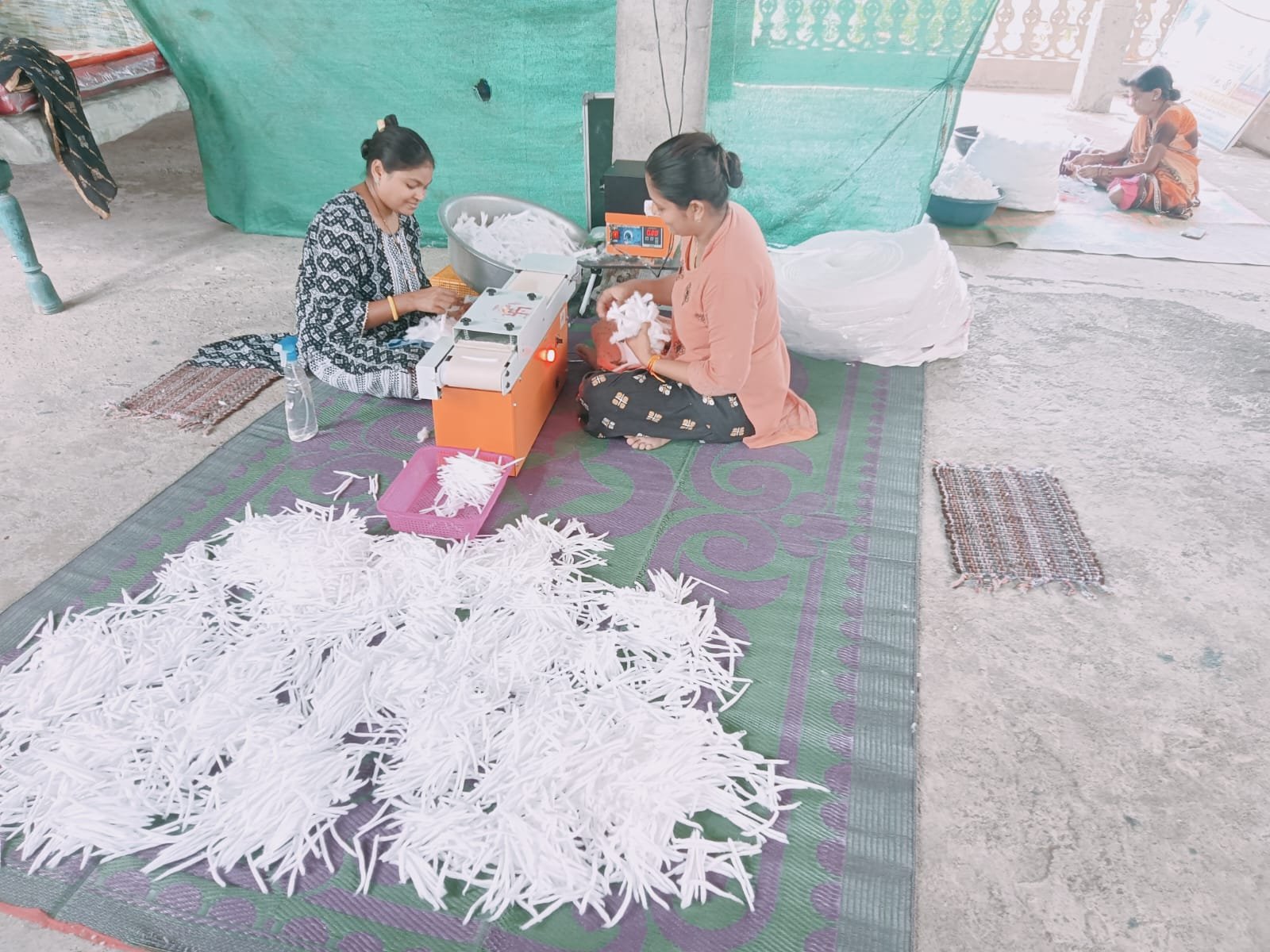 Gau Seva Activity