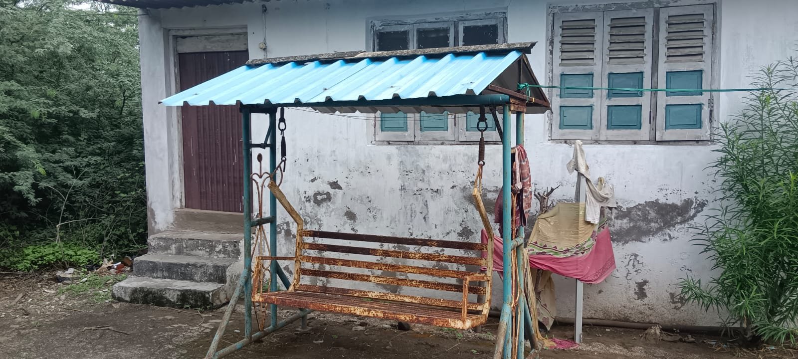 Gau Seva Activity